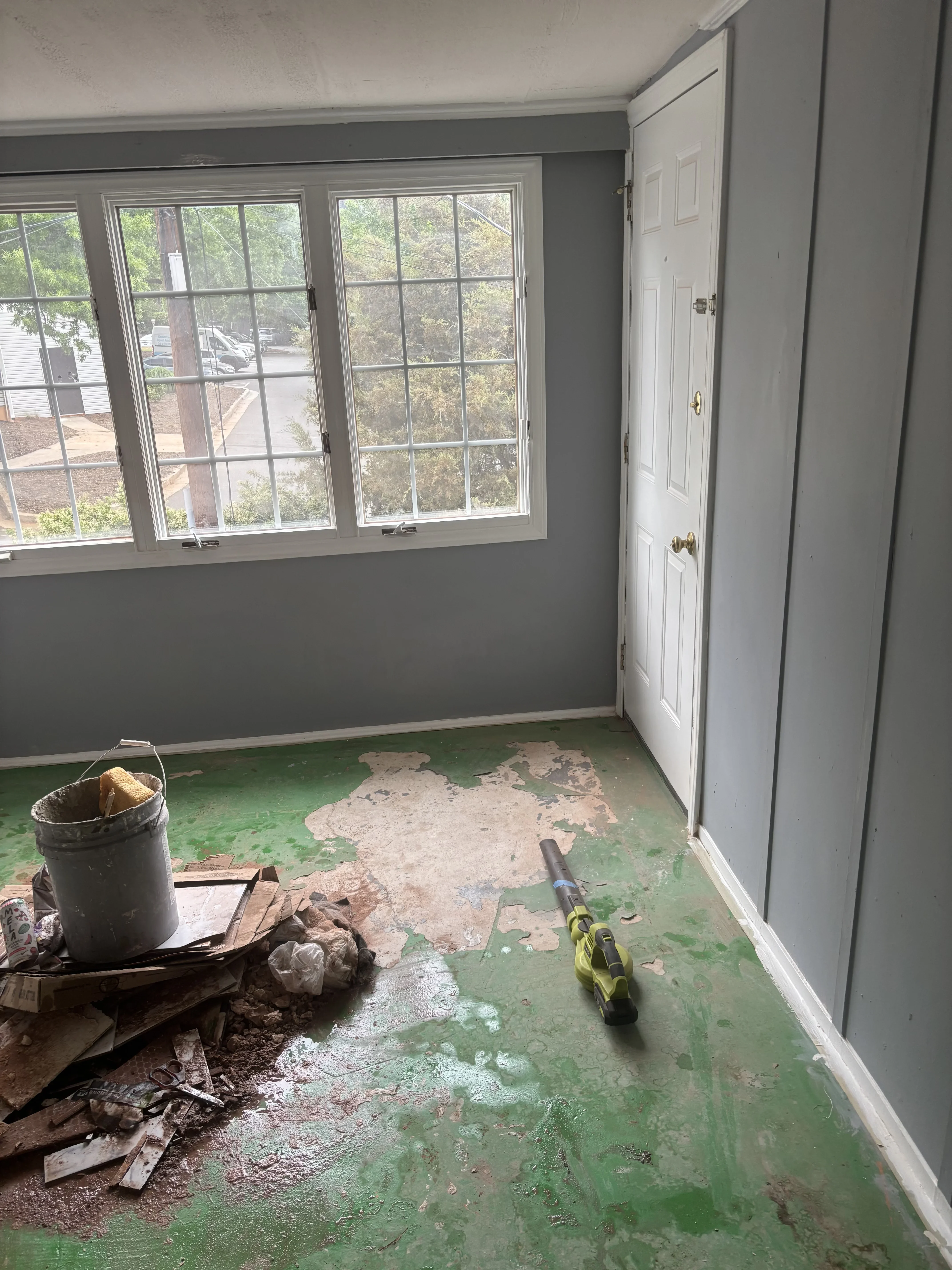Interior room with gray walls, white trim, dual windows, and green subfloor during renovation