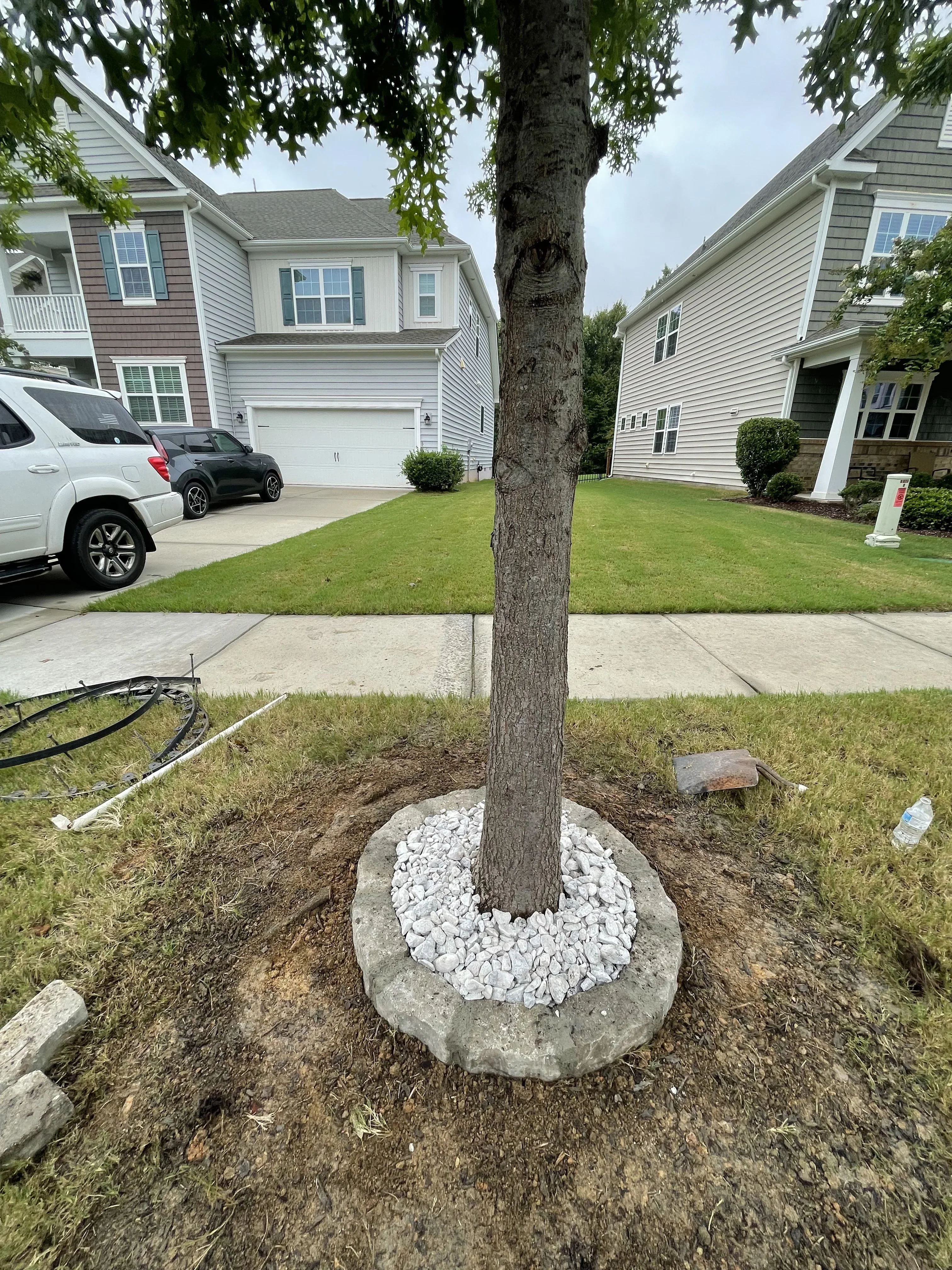 Concrete tree well with white stone mulch around mature tree in residential yard